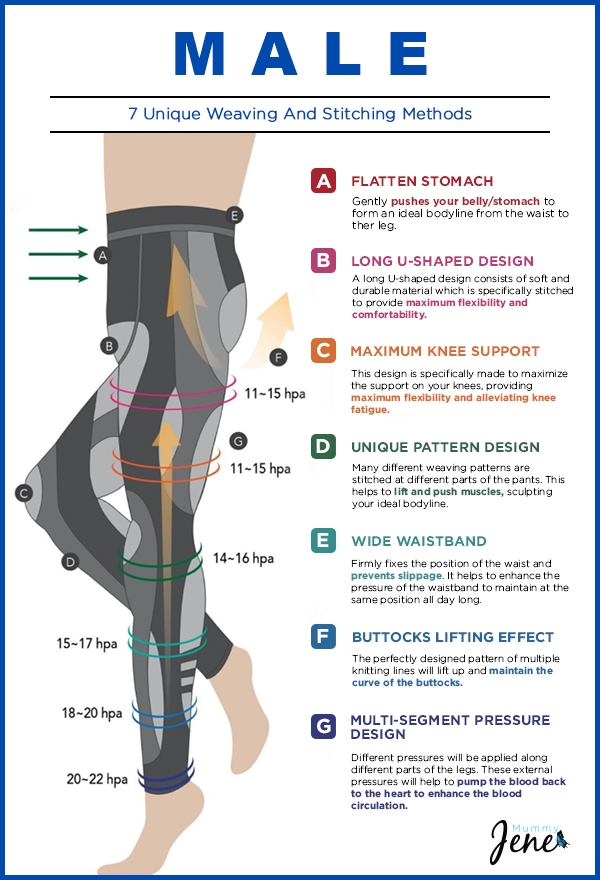 Aulora pants mens infographic