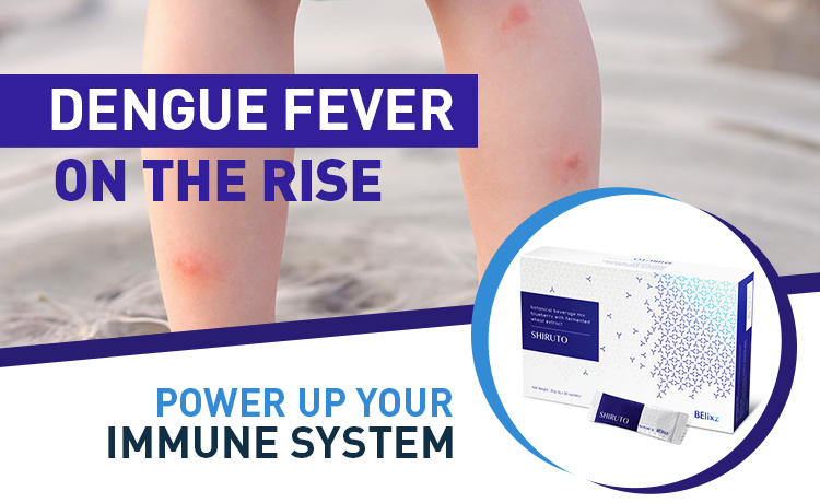 Power Up Your Immune System With Shiruto