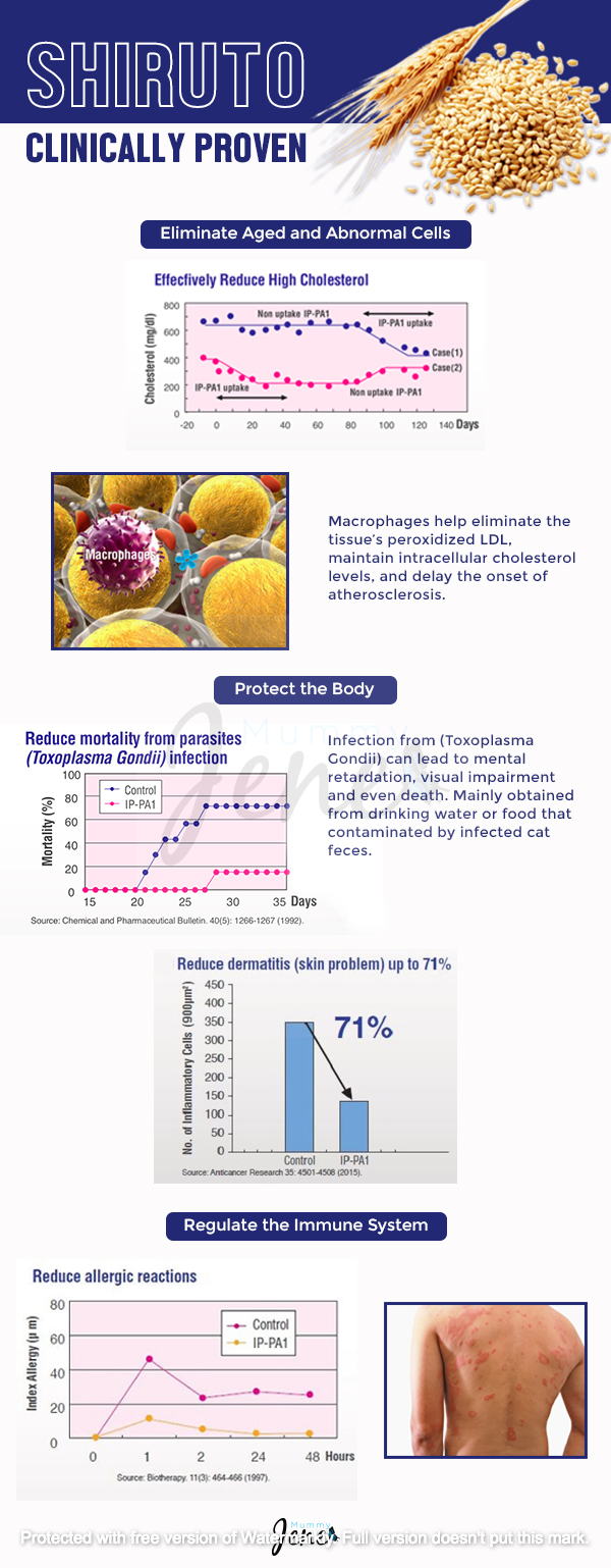 Shiruto Clinically Proven Infographic