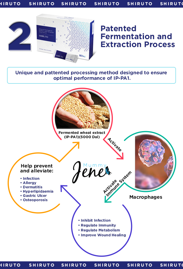 Shiruto patented fermentation and extraction process Infographic