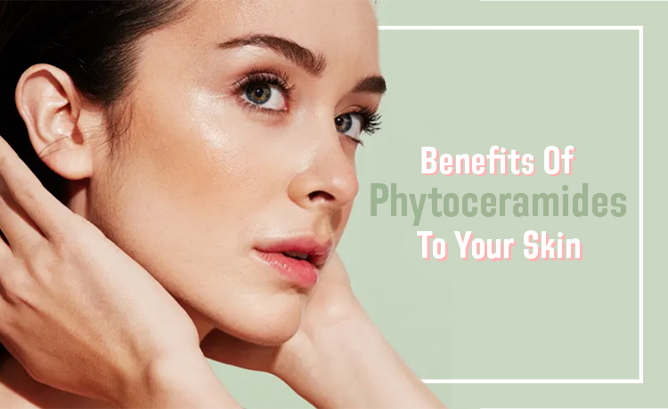 Benefits Of Phytoceramides To Your Skin Blog Featured Image