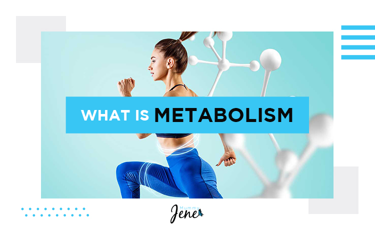 What Is Metabolism blog featured image