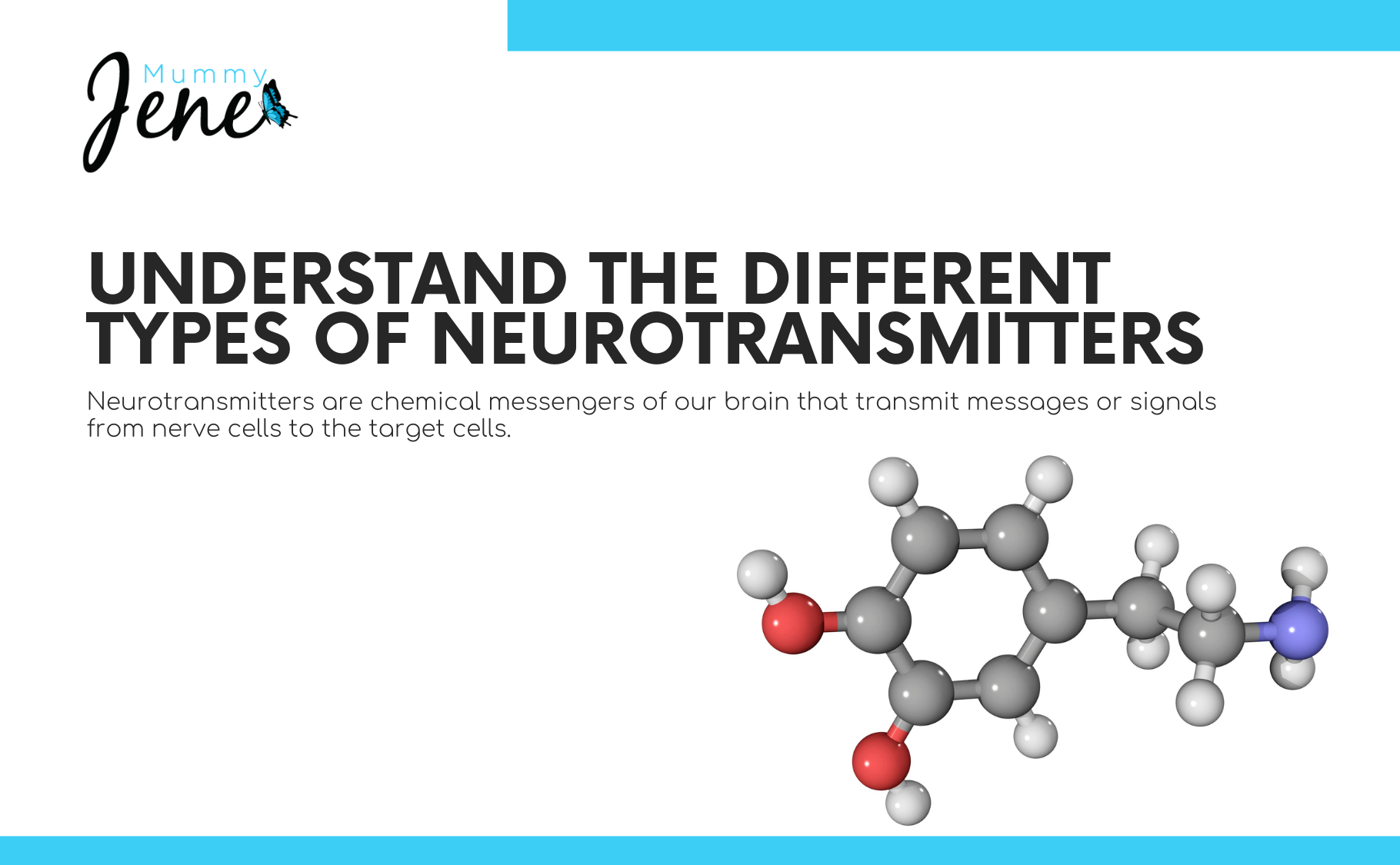 Different Types Of Neurotransmitters Blog Featured Image