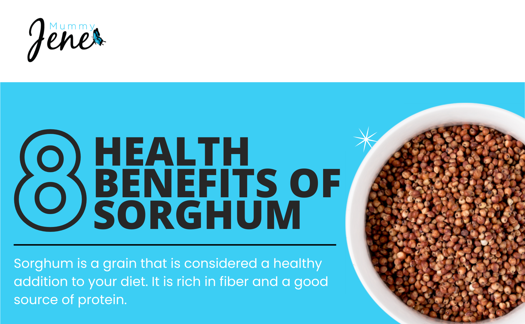 Eight Health Benefits Of Sorghum Blog Featured Image