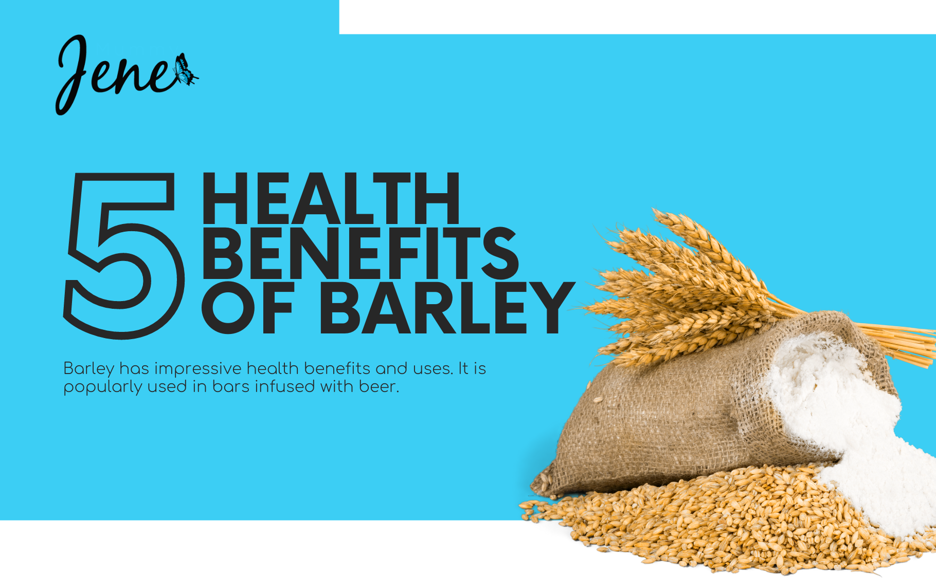 5 Health Benefits Of Barley Blog Featured Image