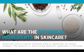 Botanical Ingredients In Skincare Blog Featured Image