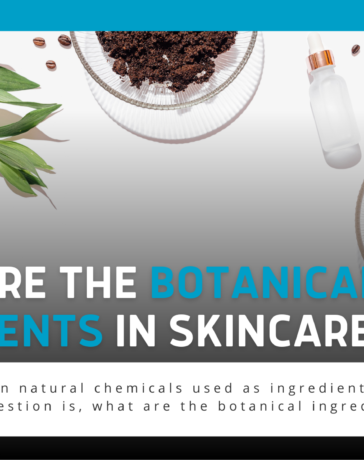 Botanical Ingredients In Skincare Blog Featured Image