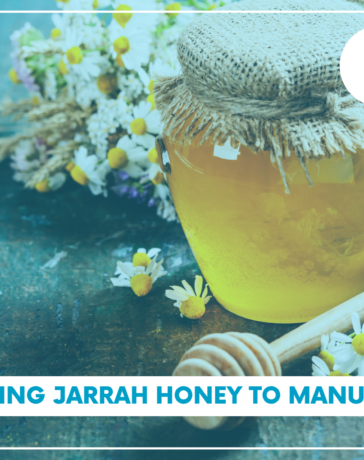 Jarrah Honey And Manuka Honey Blog Featured Image